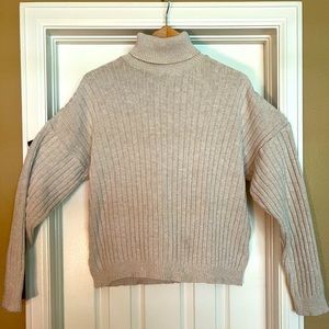 Alps brand sweater